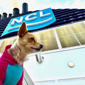 Team Page: Norwegian Cruise Line (NCL)